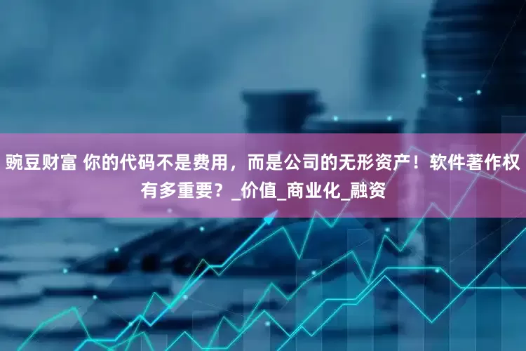 豌豆财富 你的代码不是费用，而是公司的无形资产！软件著作权有多重要？_价值_商业化_融资